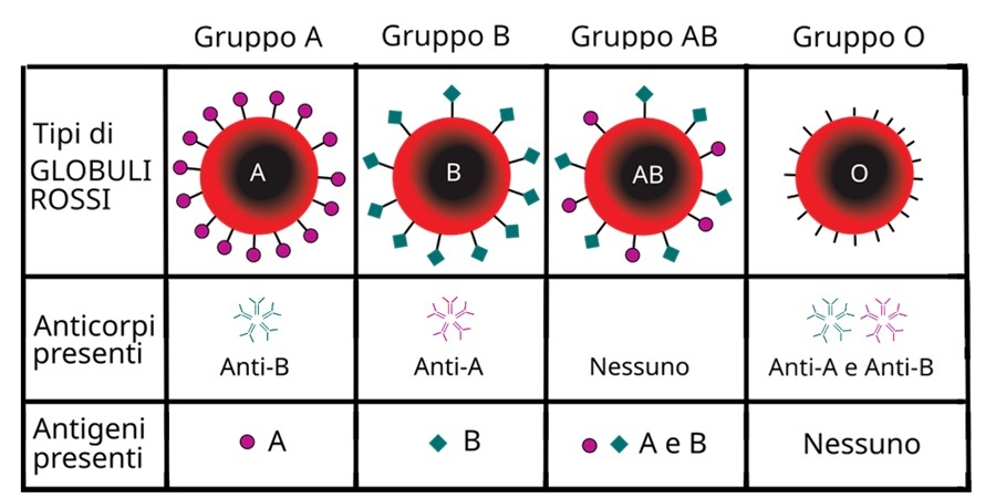 Accadde Oggi 21 Dicembre
