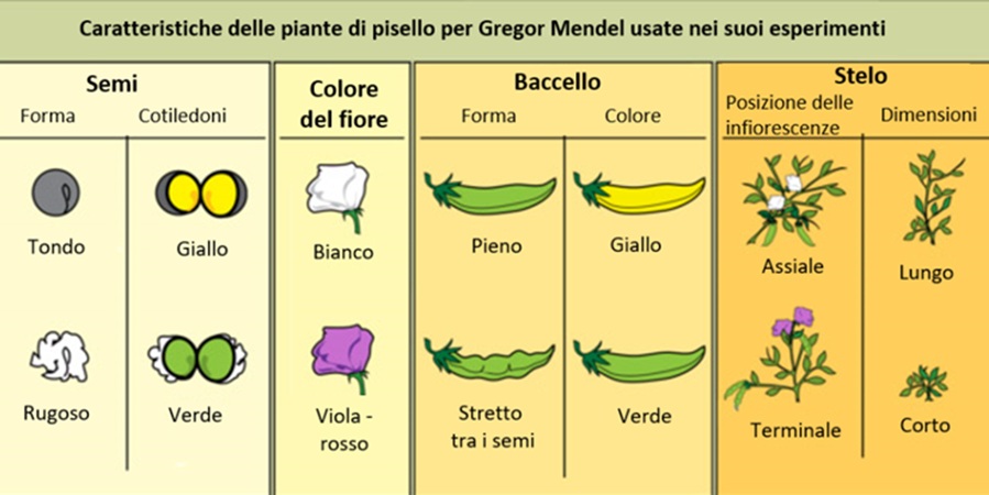 Accadde Oggi 8 Febbraio