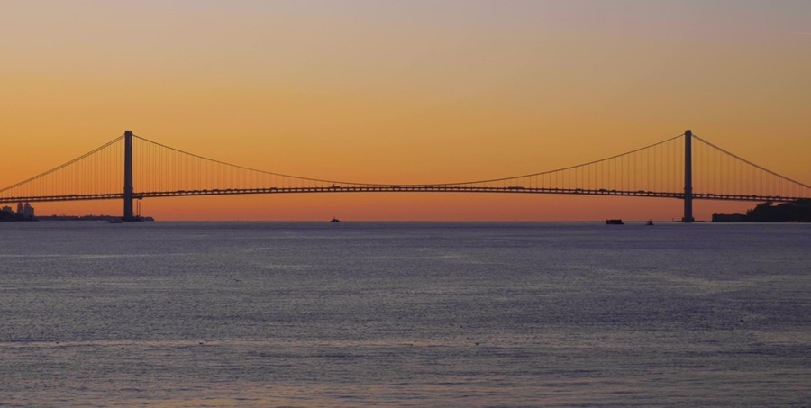 Accadde Oggi 21 Novembre