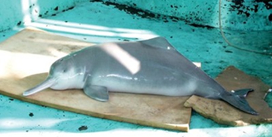 Accadde Oggi 13 Dicembre