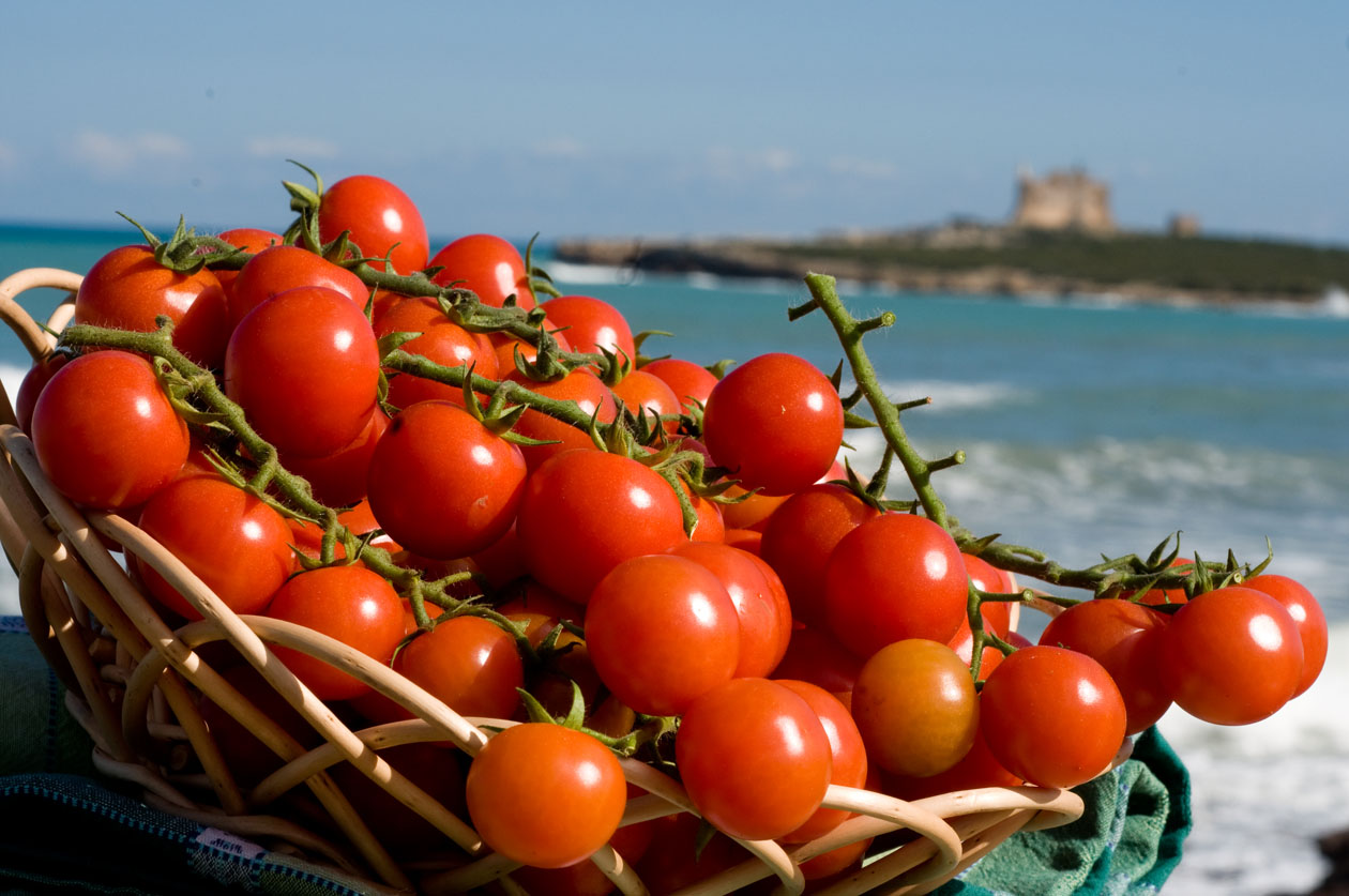 Pomodoro di Pachino: il rosso fatto dolcezza