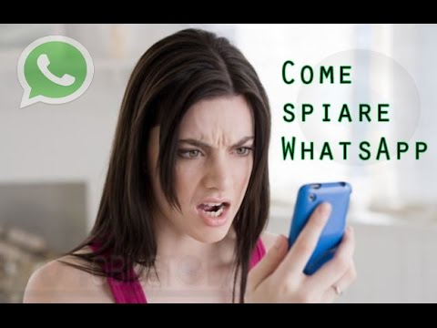 Come spiare WhatsApp per scoprire se dormiamo e con chi parliamo