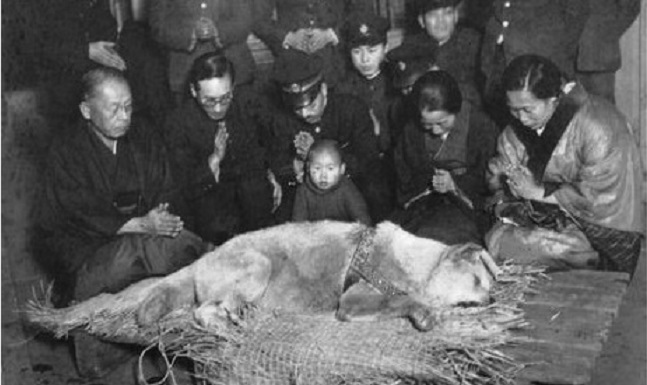 Hachikō, il cane più fedele del Giappone