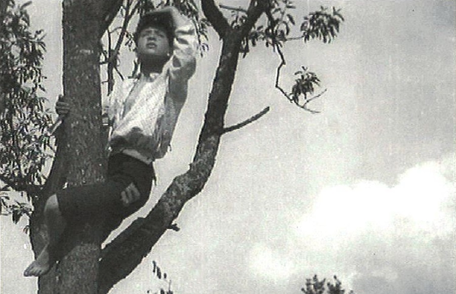 La triste storia della piccola vedetta lombarda