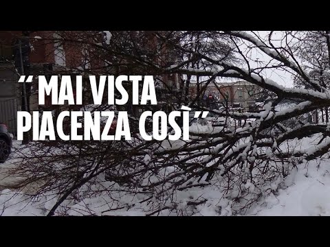 Maltempo, nevicata e disagi a Piacenza: “Mai vista così tanta neve”