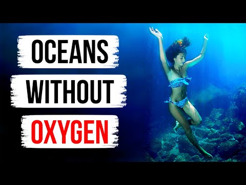 Che Succederebbe se Domani non ci Fosse Più Ossigeno nell’Oceano
