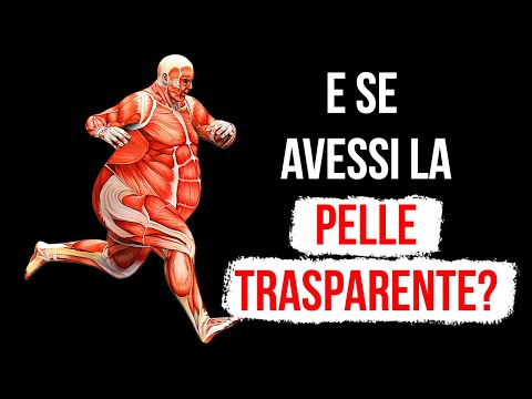 Cosa Succederebbe Se La Tua Pelle Diventasse Trasparente