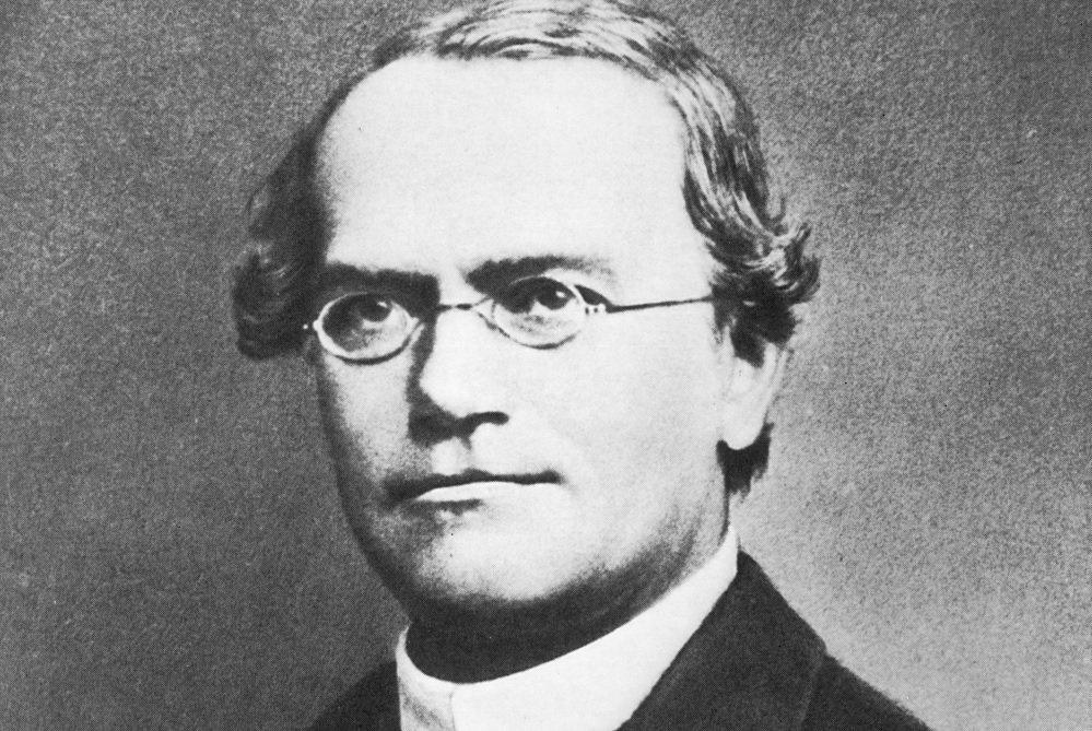 La rivoluzionaria teoria di Gregor Mendel