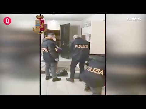 Rimini, operazione “Sweet puppies”: arrestato un 39enne per commercio illecito di animali