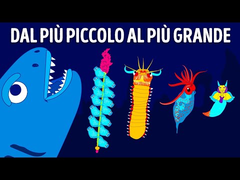 Misteriose Creature Marine Delle Profondità Oceaniche