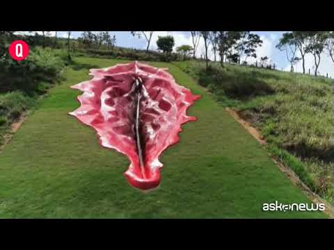 In Brasile una vulva gigante per parlare della parità di genere