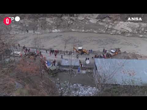 India, il cane aspetta il padrone dopo il disastro del ghiacciaio