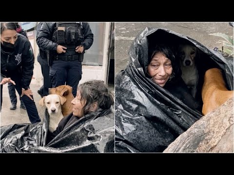 Donna senzatetto rifiuta un posto sicuro pur di non lasciare i suoi cani da soli per strada