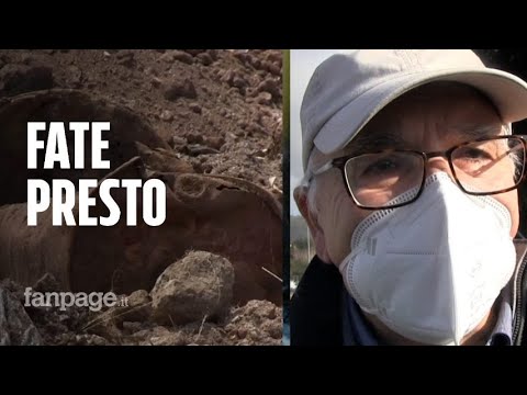 Terra dei fuochi, studio ISS sul nesso rifiuti/malattie: “Ora bisogna agire, fate presto”
