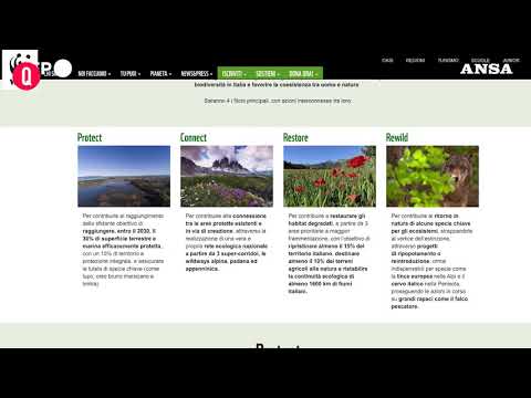 La sfida del Wwf, 10 anni per rigenerare natura italiana