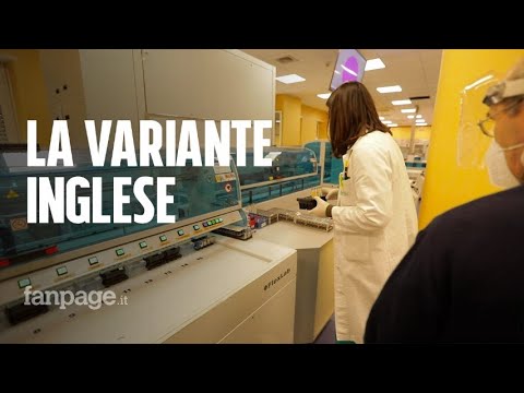 Lo studio sul Covid: “Se il virus non muta il vaccino funziona anche sulla variante inglese”