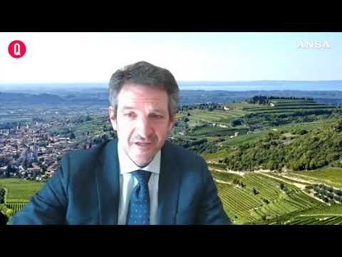 Vino, nasce l’evento digitale del Consorzio Valpolicella tra confronti e degustazioni