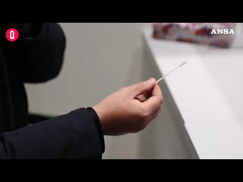 Tamponi, nuovi test nasali rapidi nelle farmacie di Bologna a prezzo vantaggioso