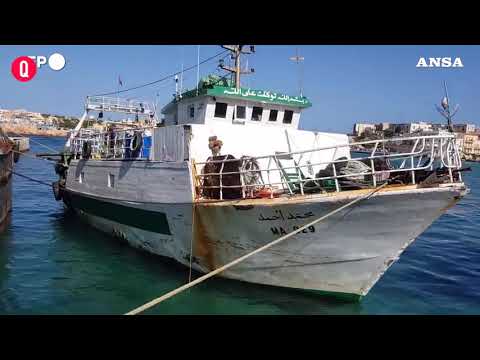 Mediterraneo piu’ caldo, nuove rotte per pesci migratori