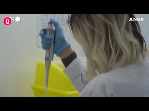 Anticorpi monoclonali al via, parte la fase 2 dei vaccini