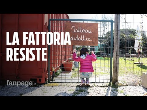 Animali uccisi alla fattoria dei nonni: “Resistiamo, ricevuto messaggi da tutta Italia”