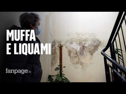 Roma, le case popolari di Primavalle tra muffa e acque nere: “Siamo disperati”