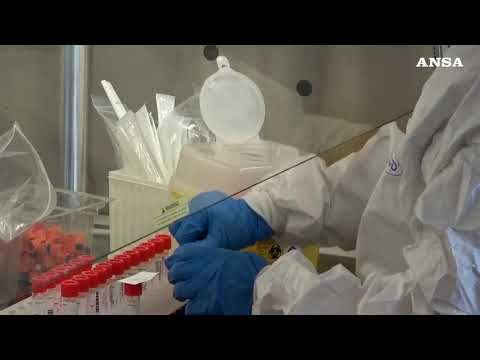 Cani addestrati per fiutare il Covid-19, la sperimentazione del Campus Bio-Medico di Roma