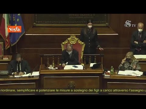Assegno unico per i figli: via libera del Senato con 227 sì, 4 astenuti e nessun voto contrario