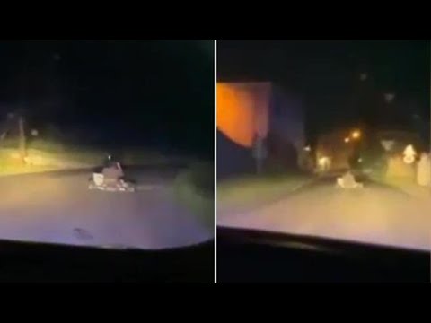 Con il go-kart (fino a 150 km/h) in fuga dalla polizia: preso dopo un’ora di folle inseguimento