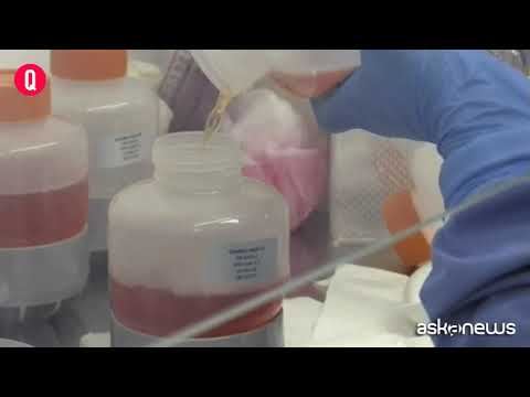 Studio: vaccino Pfizer blocca varianti Covid, anche la brasiliana