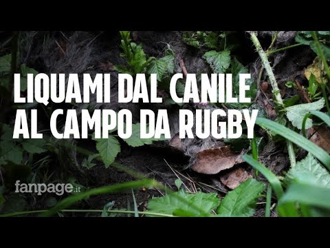 Roma, i liquami del canile comunale sversati nell’area circostante: “Il campo da rugby è invaso”