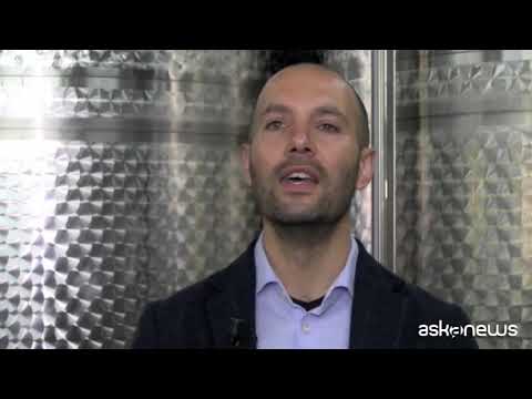 Il re dello zibibbo calabrese: una storia di vino e coraggio