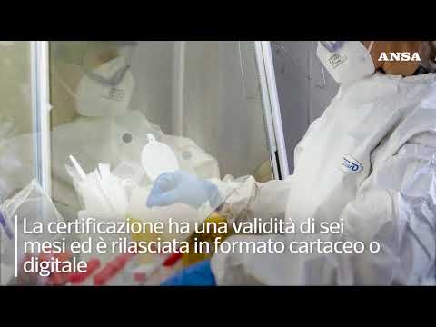 Dal 26 aprile l’Italia riapre: cosa prevede il nuovo decreto