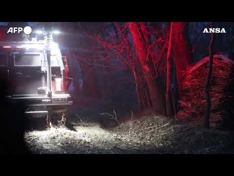 Cina, la tigre insegue e attacca l’auto con dentro i passeggeri