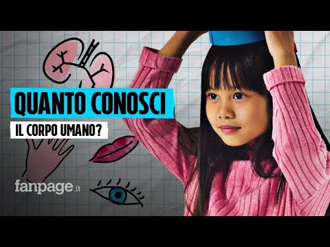 Quanto conosci il corpo umano?