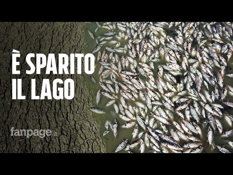 La diga sparisce e lascia il posto a un deserto di fango: “Persi milioni di metri cubi d’acqua”