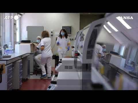 Covid pesa su sclerosi multipla, tagliate cure e lavoro