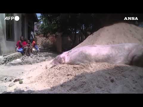 Ruanda, abitazioni distrutte dopo l’eruzione del vulcano Nyiragongo