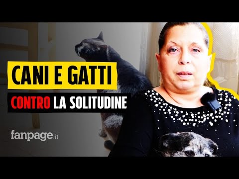 Cani e gatti in adozione, antidoto contro la paura della pandemia: “Ti cambiano la vita in meglio”