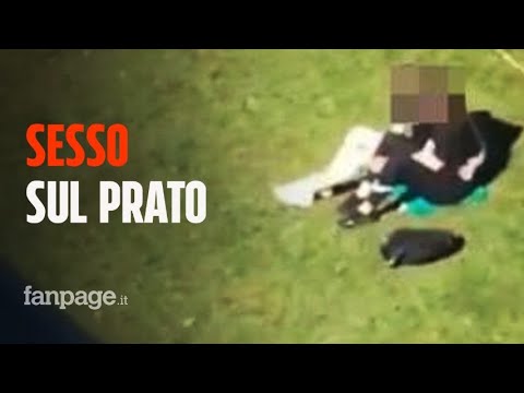 Stanchi di aspettare il bus non resistono, si gettano nel prato e fanno sesso: multa da 10mila euro