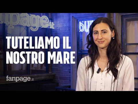 Via libera alla zona economica esclusiva, Di Stasio (M5s): “Così tuteliamo pescatori e ambiente”