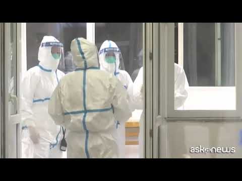 Pipistrelli vivi nel laboratorio di Wuhan, scoop di Sky Australia