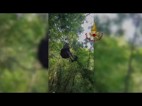 Genova: precipita col parapendio in un bosco, recuperato a venti metri di altezza