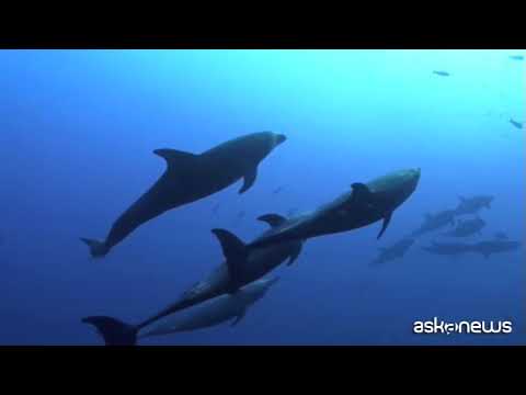 Giornata dell’Ambiente, Onu: bisogna ripristinare gli ecosistemi