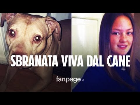 Regala un cane alla sorella malata: Keira muore a 21 anni sbranata viva