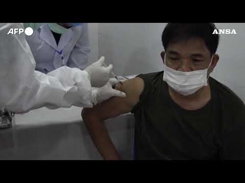 Covid, la mappa delle vaccinazioni nel mondo