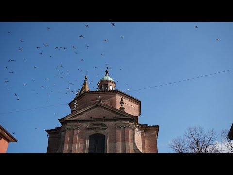 Medicina zona rossa, un anno dopo