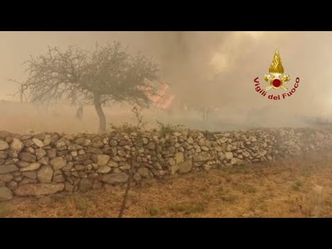 Roghi nell’Oristanese: cinque canadair, un elicottero e squadre a terra per combattere le fiamme