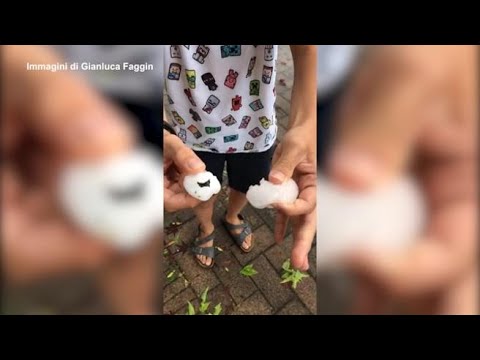 Grandine e tempesta di vento a Gonzaga (Mantova): danni a alberi e strutture