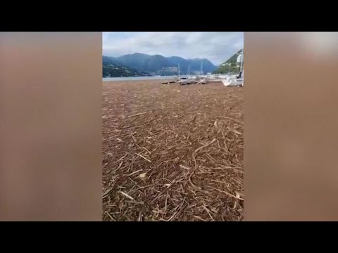 Maltempo, enorme quantità di detriti vicino alla riva a Como